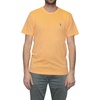 Liberal Orange