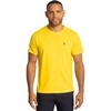 Midday Yellow