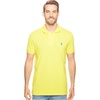Mid Day Yellow