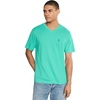 Aqua Teal